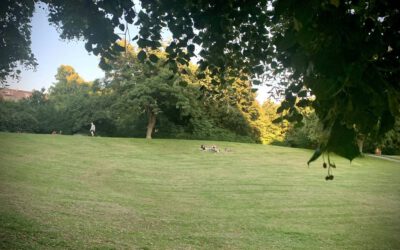 Parkcheck in Düsseldorf – Ein Grünstreifen mitten in Bilk