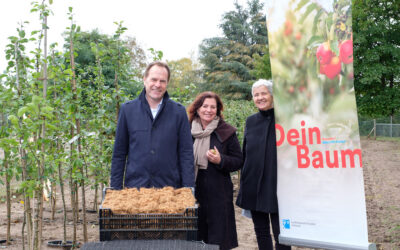 Aktion “Dein Baum”: Gartenamt stellt 200 Bäume für private Gärten in Düsseldorf bereit