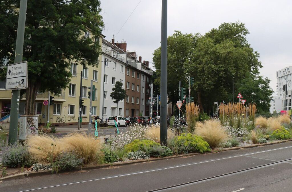 Düsseldorf: Auszeichnung für Ehrenamts-Initiative “platzgrün!”